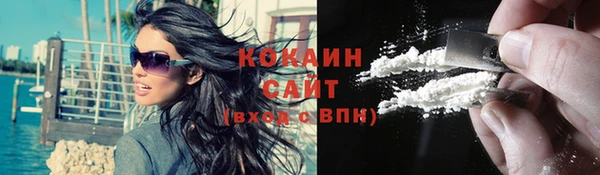 стаф Елизово