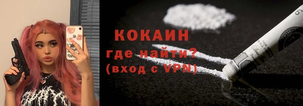 соль ск Ельня