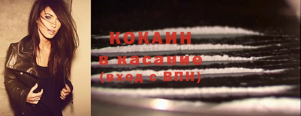 соль ск Ельня