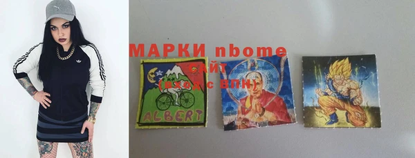 соль ск Ельня