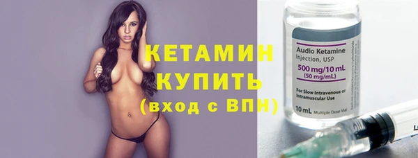 соль ск Ельня