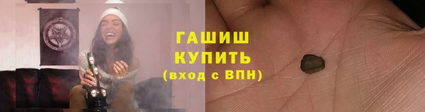 стаф Елизово