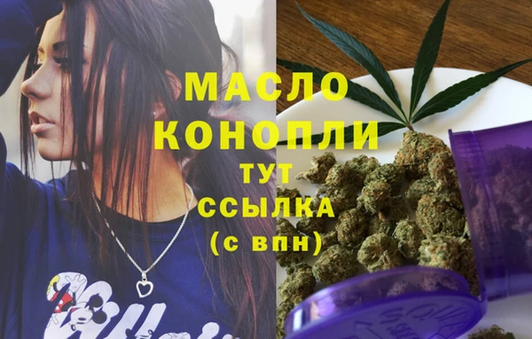 соль ск Ельня