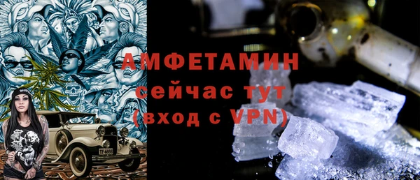 соль ск Ельня