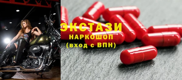 соль ск Ельня