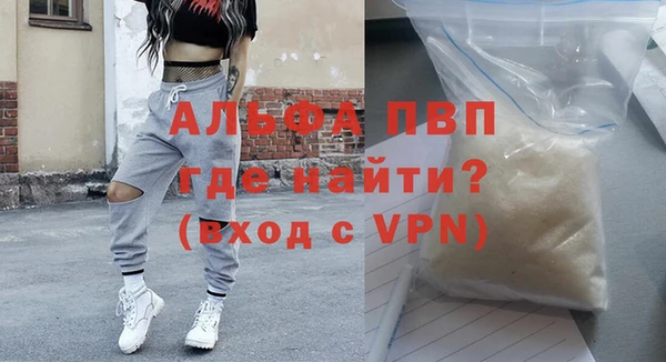 соль ск Ельня