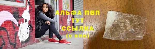 стаф Елизово